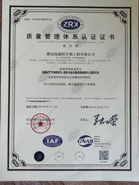 ISO-QMS-Certificate