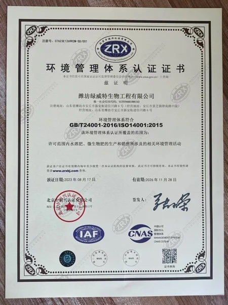 ISO-EMS-Certificate