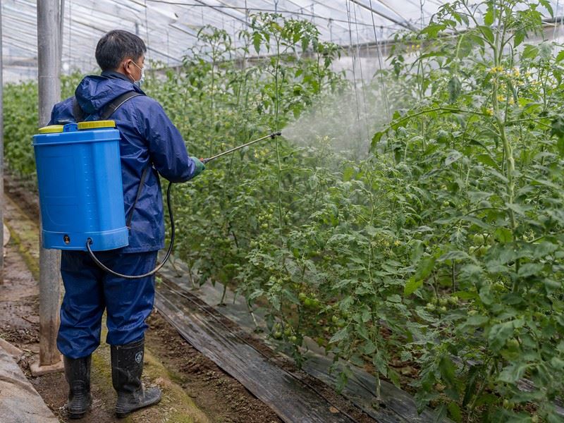 calcium-magnesium-foliar-application