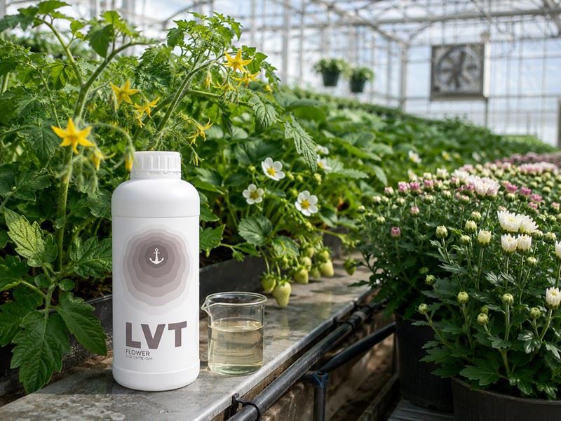 flower-booster-fertilizer-flowering-crops
