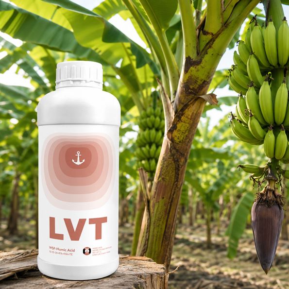 High Potassium Humic Acid Fertilizer For Banana Fruit Filling