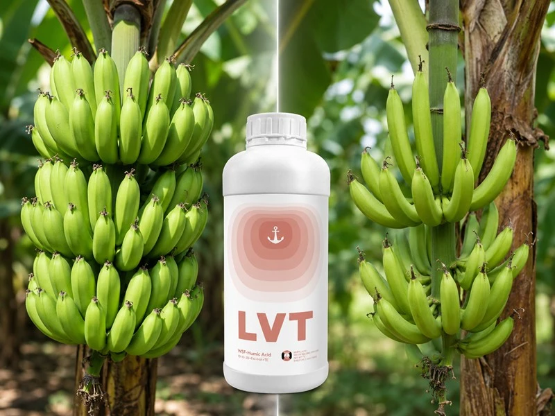 banana-fruit-filling-comparison
