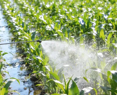 Labeling Of Alginic Acid-Containing Organic Water-Soluble Fertilizers
