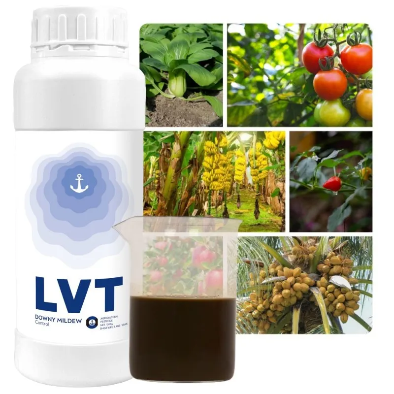 Downy Mildew Control2 Downy Mildew Control2