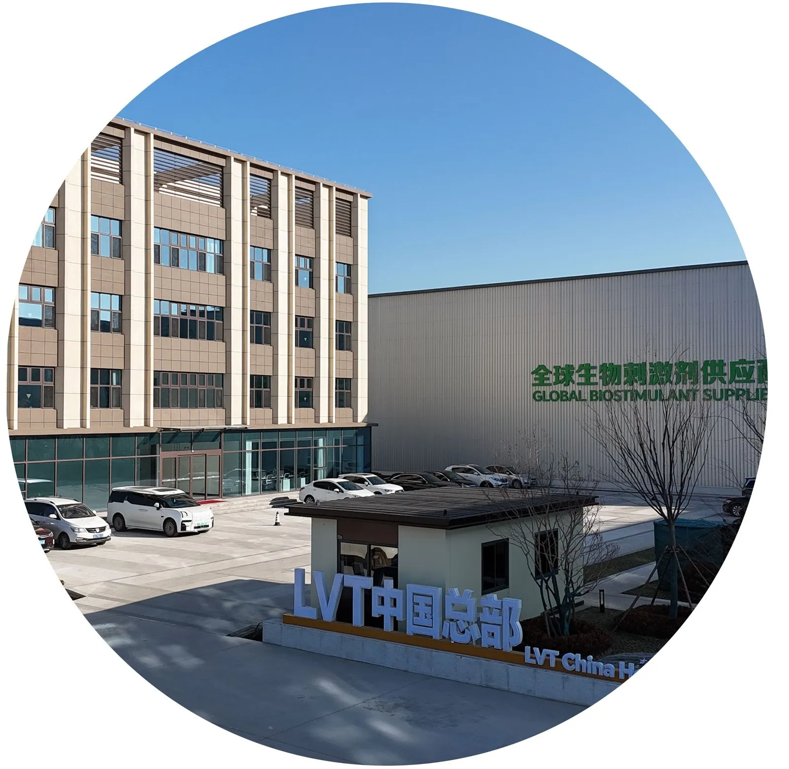 About Our Company