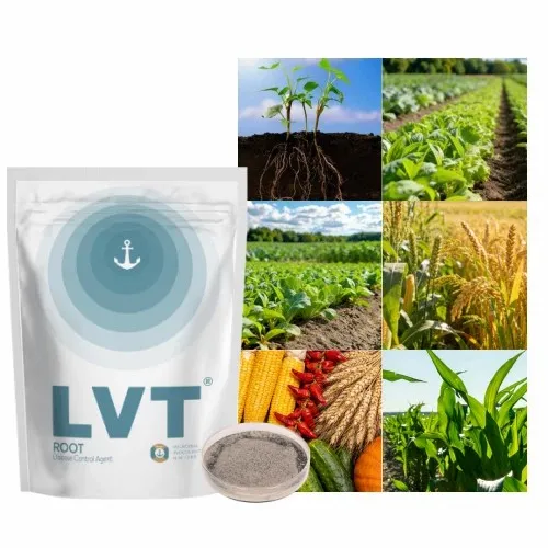 product-500-500