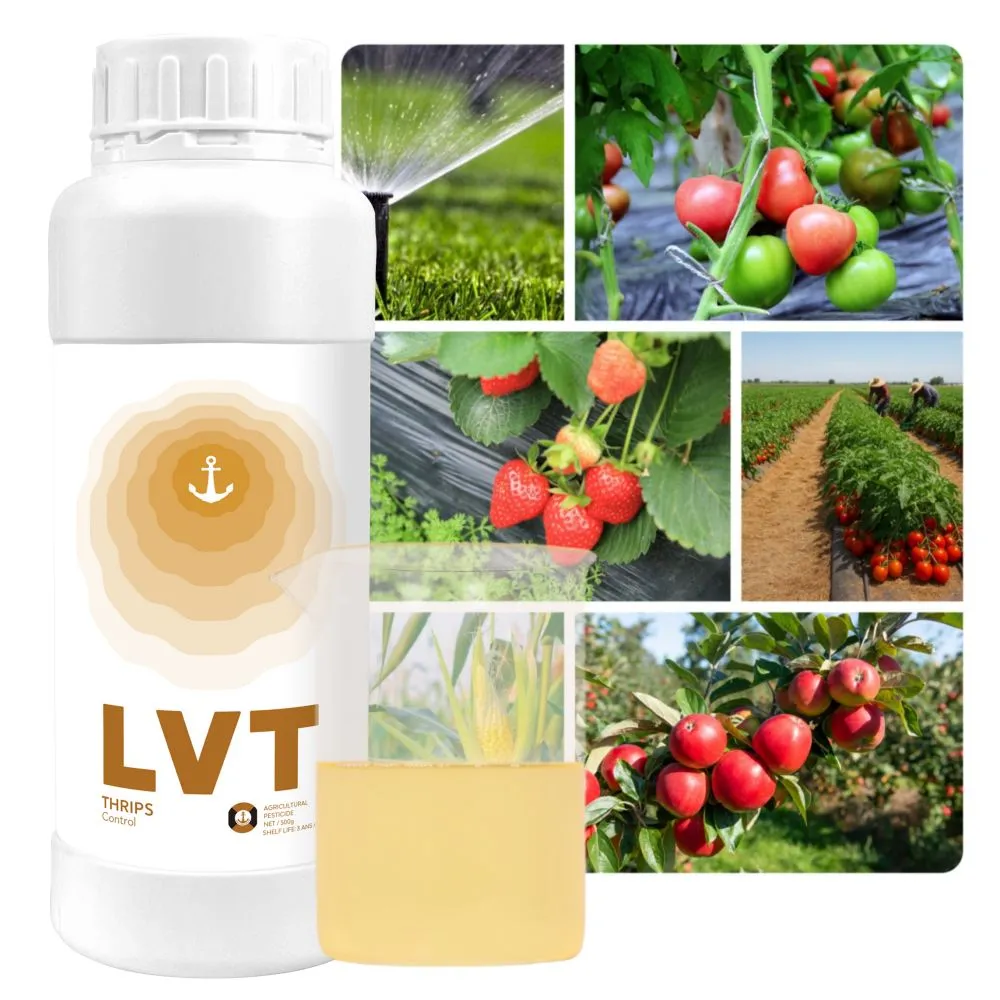 product-1000-1000