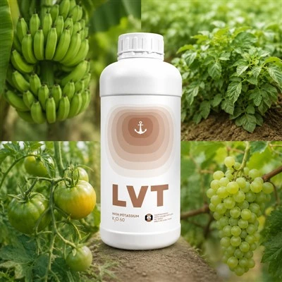 High-Potassium Liquid Fertilizer K₂O 600 + Zn & Co | LVT