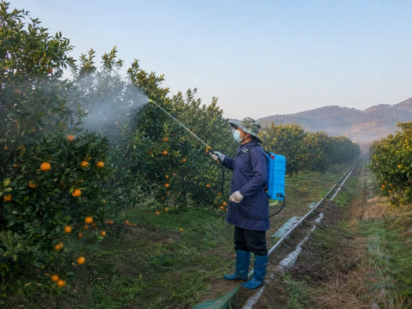 cmzb-foliar-application-web